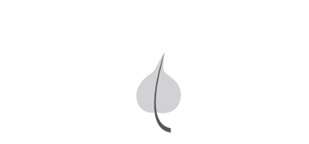 Bodhi Leaf – IIM Bodh Gaya logo element
